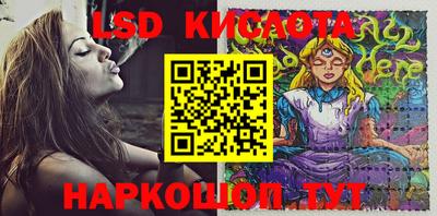 дмт Будённовск